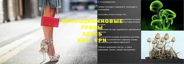 apvp Нея
