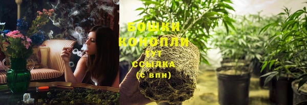 apvp Нея