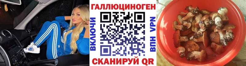 Псилоцибиновые грибы Psilocybine cubensis Калининск